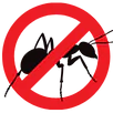 Ant Control Mansfield