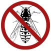 Wasp Control Mansfield